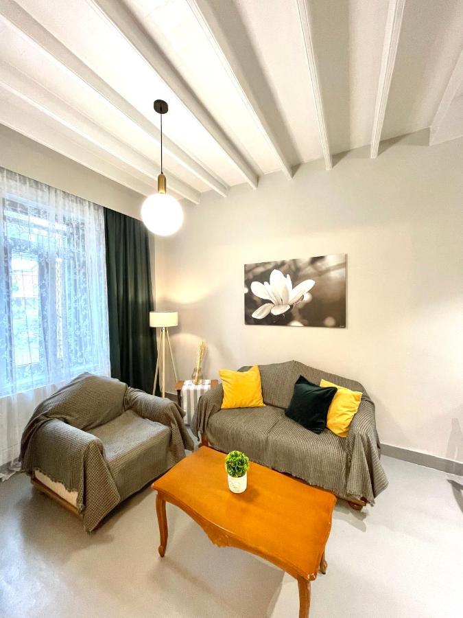 MytilíniElia Downtown Eco Houseアパートメント エクステリア 写真